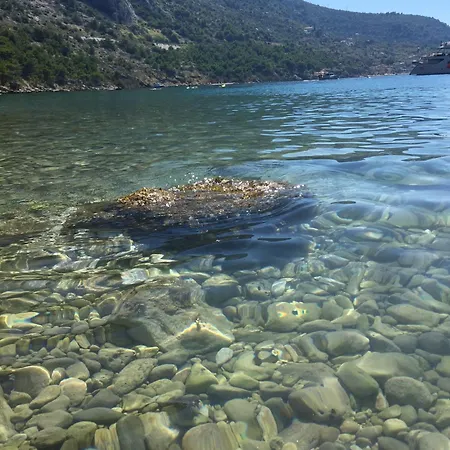 Ika * Drašnice